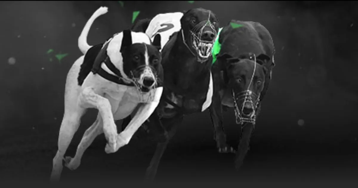 国米揭晓预,热海报迎德,比大战,PA真人平台,PA真人百家乐,PA真人百家乐官网,PA真人百家乐登录入口,PA真人官方网站