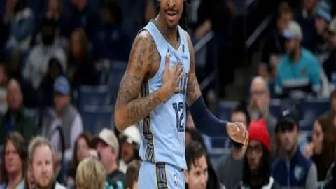 登山环保攻略：登山过程中的生态保护准则